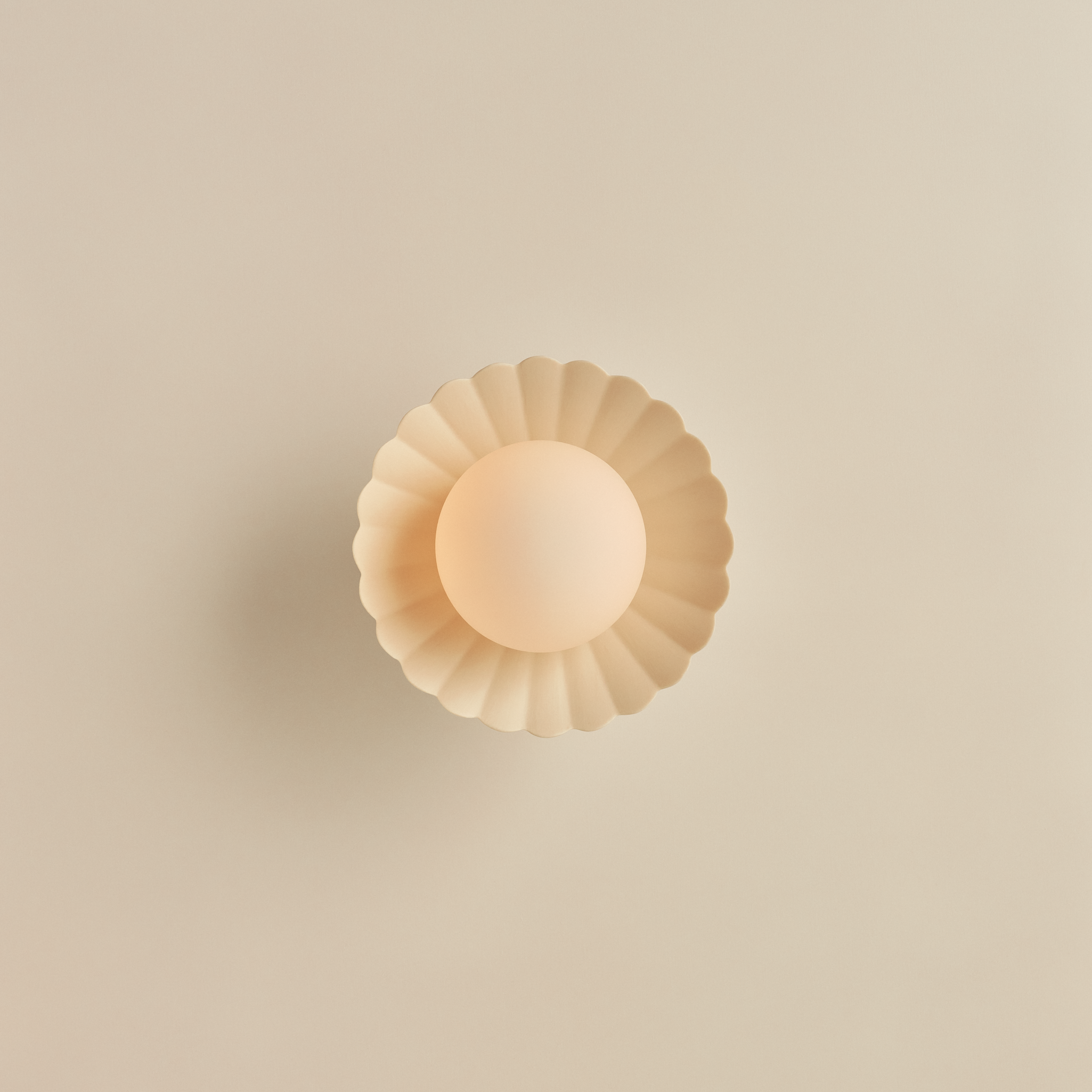 Daisy Wall Sconce in Natural White