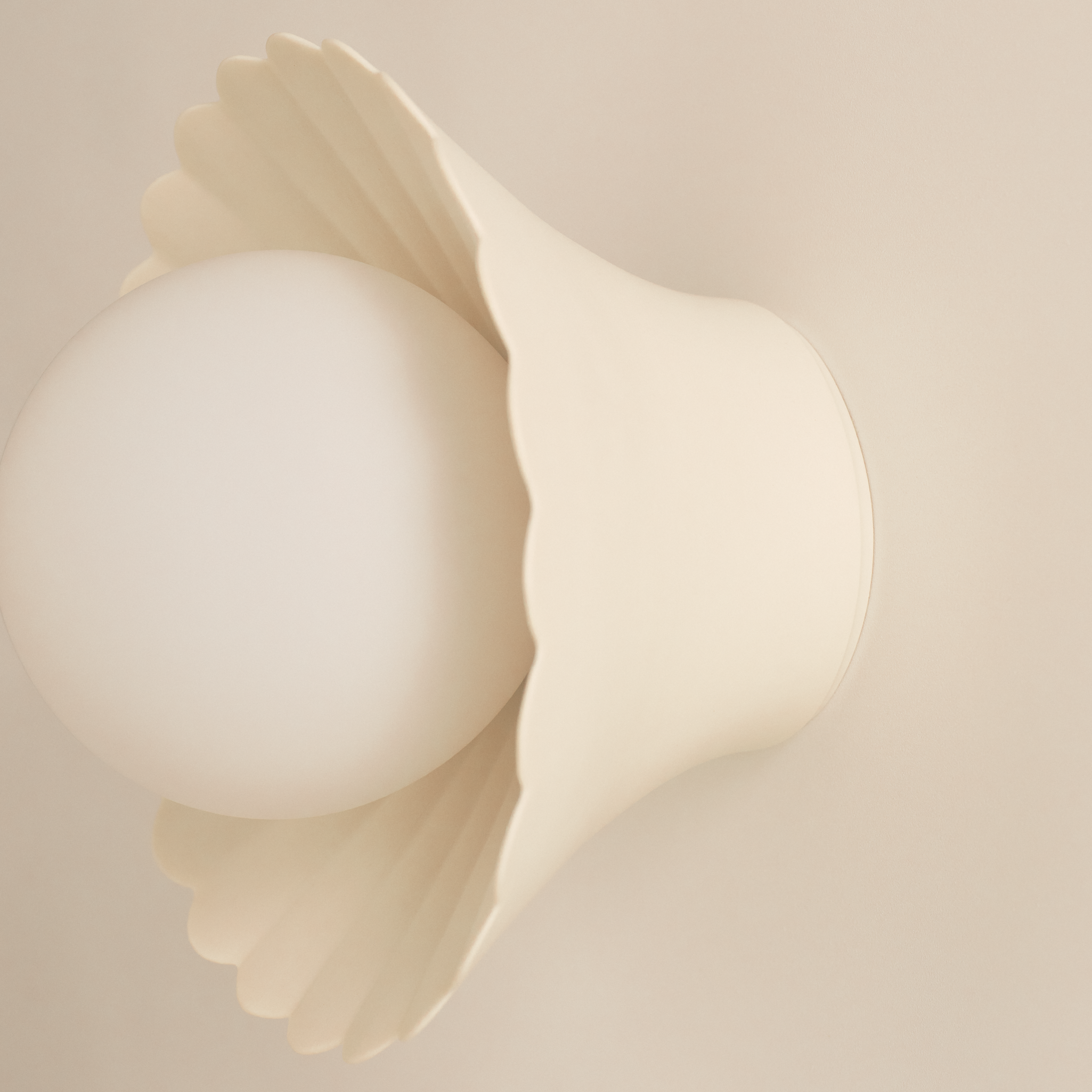 Daisy Wall Sconce in Natural White