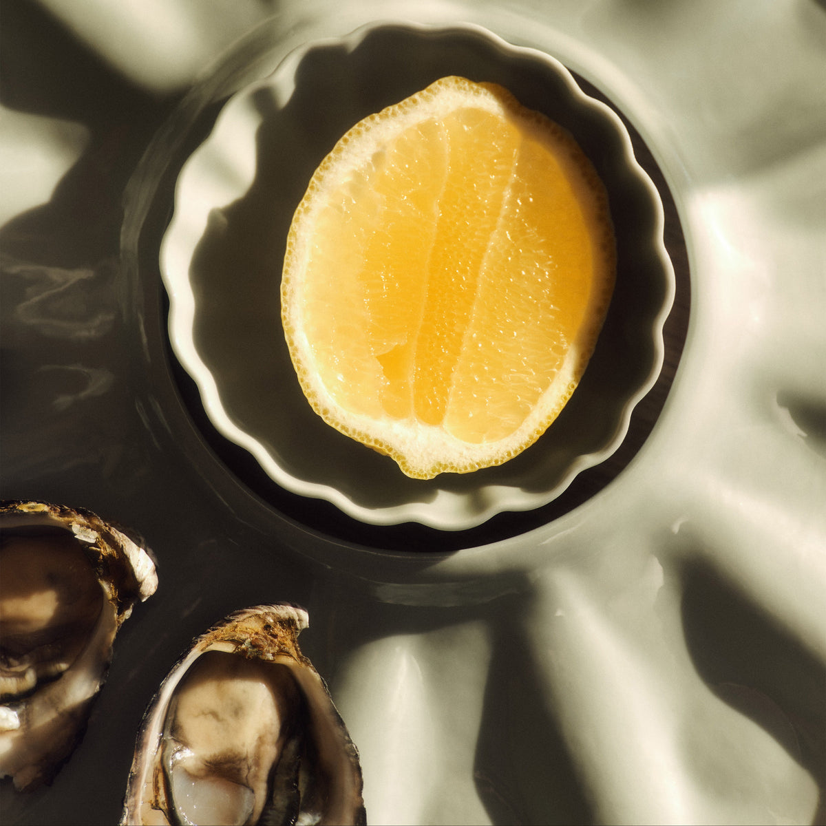 Mother of Pearl Oyster Plate · Dozen Set · Natural White