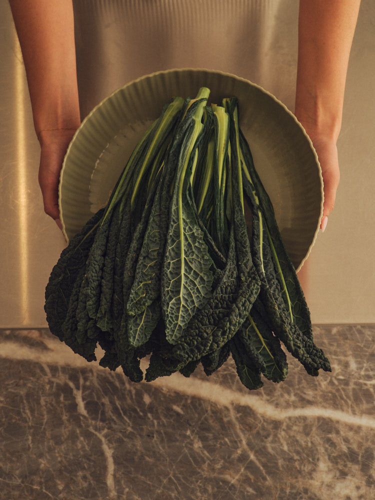 Eucalypt Green Banksia Bowl holding cavolo nero. Photograph by Sarah Forgie