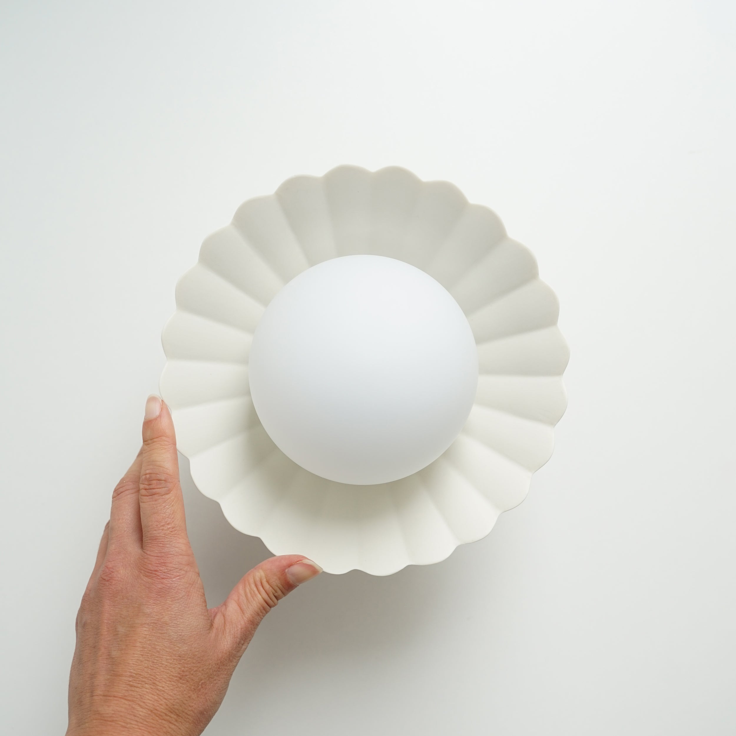 Daisy Wall Sconce in Natural White