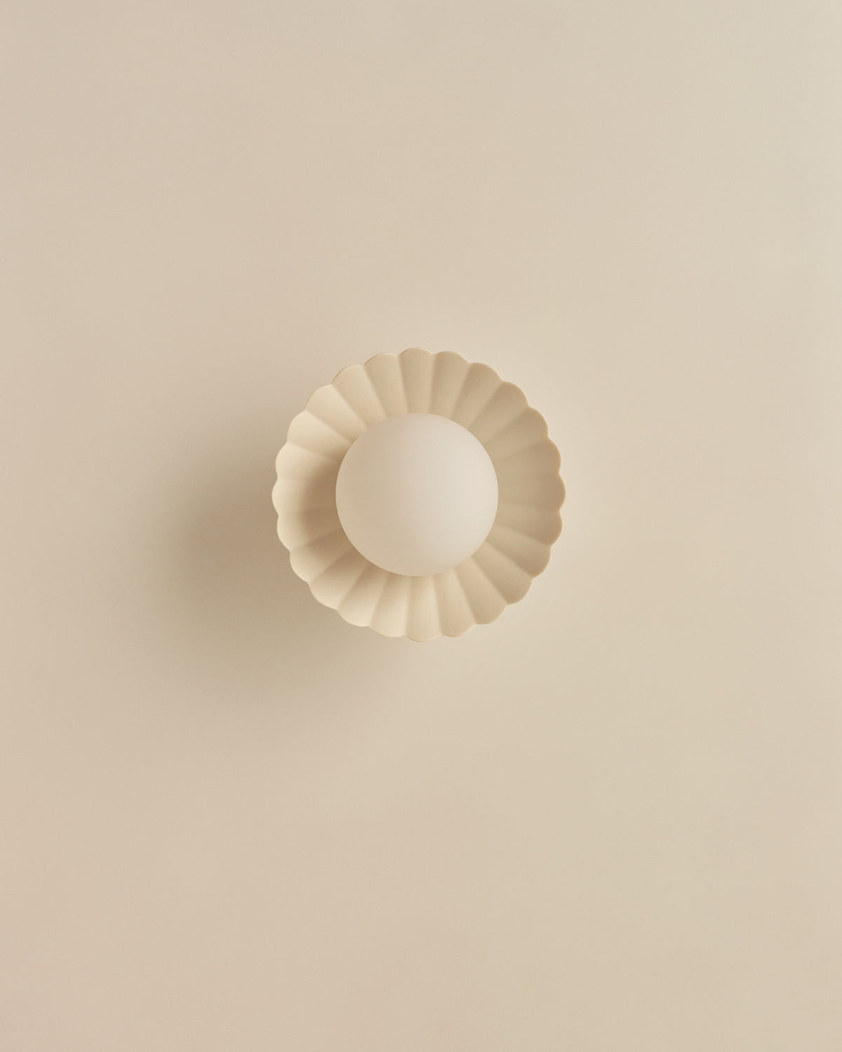 Daisy Wall Sconce in Natural White